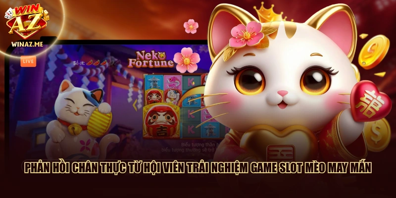 Phản hồi chân thực từ hội viên trải nghiệm game slot Mèo May Mắn